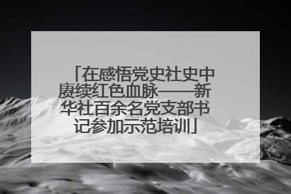 在感悟党史社史中赓续红色血脉——新华社百余名党支部书记参加示范培训