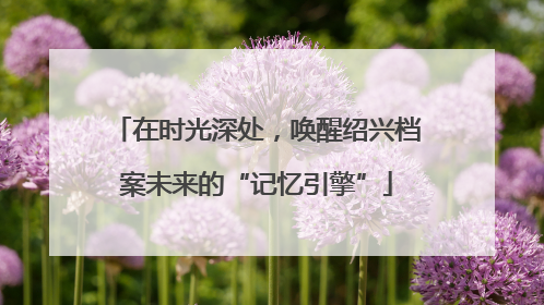在时光深处，唤醒绍兴档案未来的“记忆引擎”