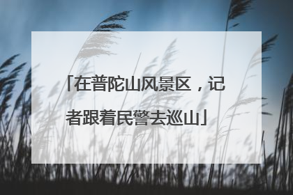 在普陀山风景区，记者跟着民警去巡山
