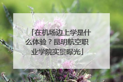 在机场边上学是什么体验？昆明航空职业学院实景曝光