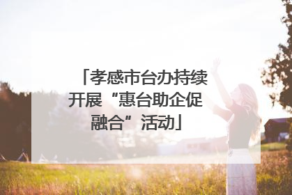 孝感市台办持续开展“惠台助企促融合”活动