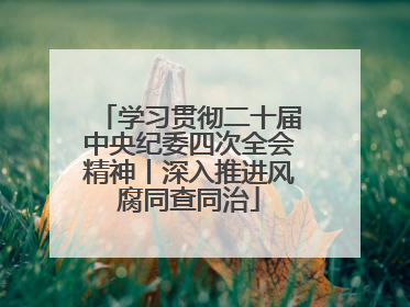 学习贯彻二十届中央纪委四次全会精神丨深入推进风腐同查同治