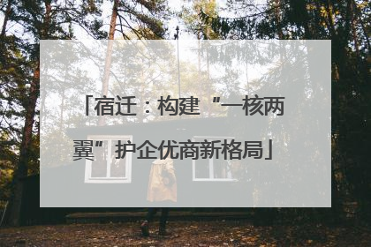 宿迁：构建“一核两翼”护企优商新格局