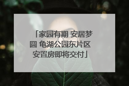 家园有期 安居梦圆 龟湖公园东片区安置房即将交付