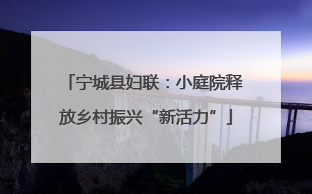 宁城县妇联：小庭院释放乡村振兴“新活力”