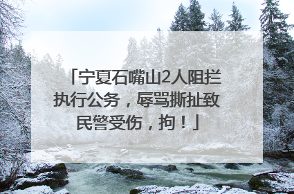 宁夏石嘴山2人阻拦执行公务，辱骂撕扯致民警受伤，拘！