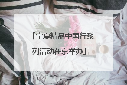 宁夏精品中国行系列活动在京举办