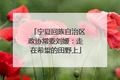 宁夏回族自治区政协常委刘媛：走在希望的田野上