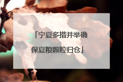 宁夏多措并举确保夏粮颗粒归仓