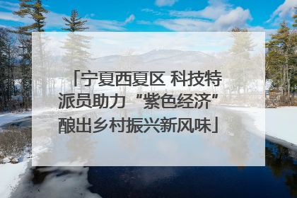 宁夏西夏区 科技特派员助力“紫色经济”酿出乡村振兴新风味