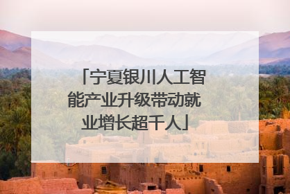 宁夏银川人工智能产业升级带动就业增长超千人