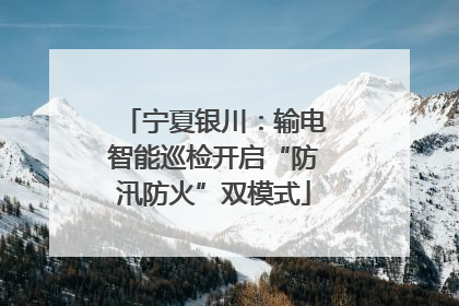 宁夏银川：输电智能巡检开启“防汛防火”双模式