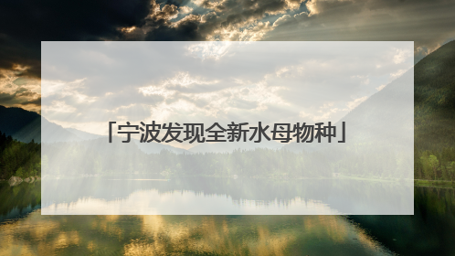 宁波发现全新水母物种