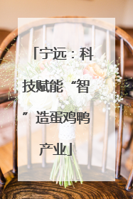 宁远：科技赋能“智”造蛋鸡鸭产业