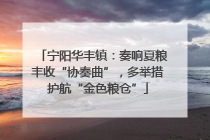 宁阳华丰镇：奏响夏粮丰收“协奏曲”，多举措护航“金色粮仓”