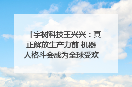 宇树科技王兴兴：真正解放生产力前 机器人格斗会成为全球受欢迎的赛事｜科技观察