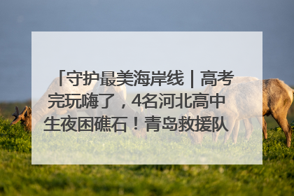 守护最美海岸线｜高考完玩嗨了，4名河北高中生夜困礁石！青岛救援队火速出动救上岸