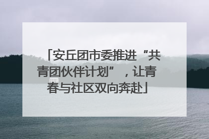 安丘团市委推进“共青团伙伴计划”，让青春与社区双向奔赴