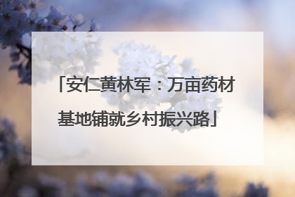 安仁黄林军：万亩药材基地铺就乡村振兴路