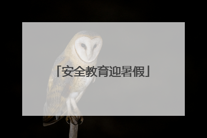 安全教育迎暑假