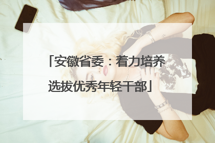 安徽省委：着力培养选拔优秀年轻干部