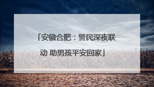 安徽合肥：警民深夜联动 助男孩平安回家