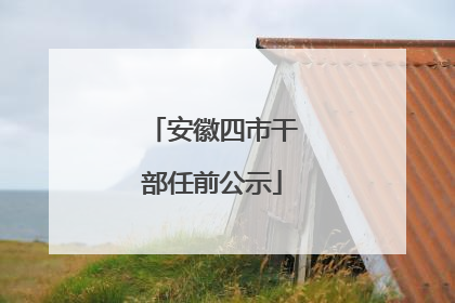 安徽四市干部任前公示