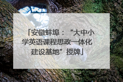 安徽蚌埠：“大中小学英语课程思政一体化建设基地”授牌