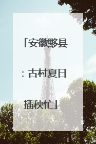 安徽黟县：古村夏日插秧忙