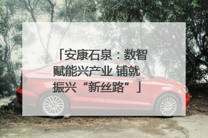 安康石泉：数智赋能兴产业 铺就振兴“新丝路”