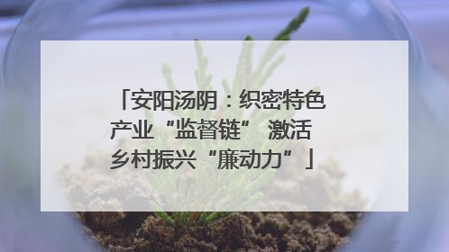 安阳汤阴：织密特色产业“监督链” 激活乡村振兴“廉动力”
