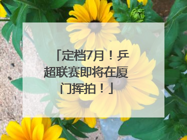 定档7月!乒超联赛即将在厦门挥拍!
