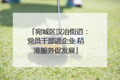 宛城区汉冶街道：党员干部进企业 精准服务促发展