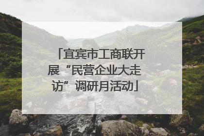 宜宾市工商联开展“民营企业大走访”调研月活动