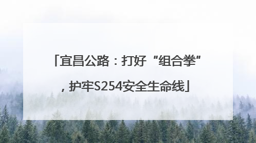 宜昌公路：打好“组合拳”，护牢S254安全生命线
