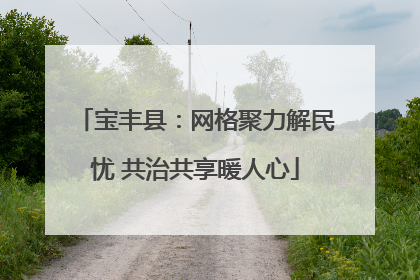 宝丰县：网格聚力解民忧 共治共享暖人心