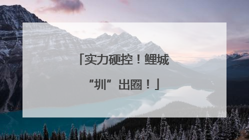 实力硬控！鲤城“圳”出圈！