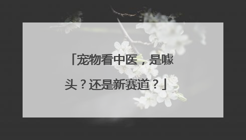 宠物看中医，是噱头？还是新赛道？