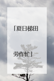 夏日梯田劳作忙