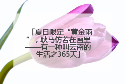 夏日限定“黄金雨”，耿马仿若在画里——有一种叫云南的生活之365天