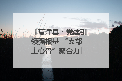 夏津县：党建引领强根基 “支部主心骨”聚合力