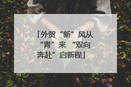 外贸“新”风从“青”来 “双向奔赴”启新程