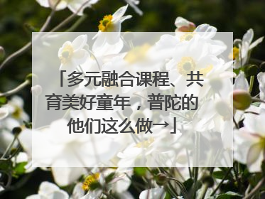 多元融合课程、共育美好童年，普陀的他们这么做→