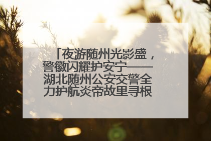 夜游随州光影盛，警徽闪耀护安宁——湖北随州公安交警全力护航炎帝故里寻根节夜游活动侧记