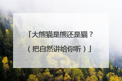 大熊猫是熊还是猫？（把自然讲给你听）