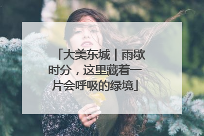 大美东城｜雨歇时分，这里藏着一片会呼吸的绿境