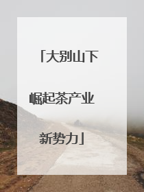 大别山下崛起茶产业新势力