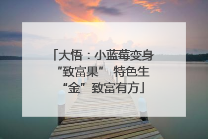 大悟：小蓝莓变身“致富果” 特色生“金”致富有方