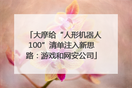 大摩给“人形机器人100”清单注入新思路：游戏和网安公司
