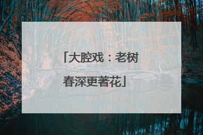 大腔戏：老树春深更著花